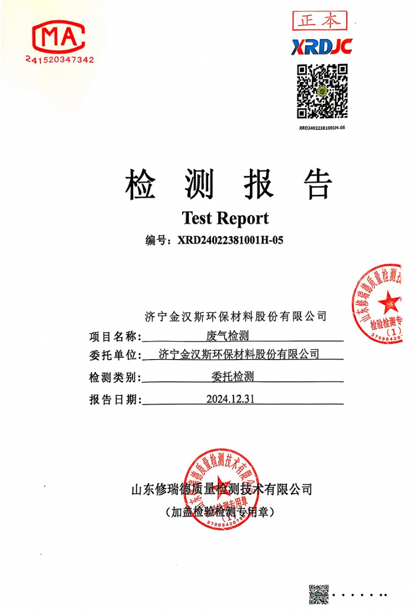 檢測報(bào)告（2024.12.31）